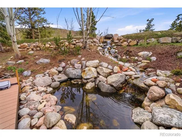590 Water Dance Drive Frisco, CO 80443