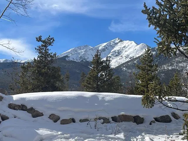 590 Water Dance Drive Frisco, CO 80443