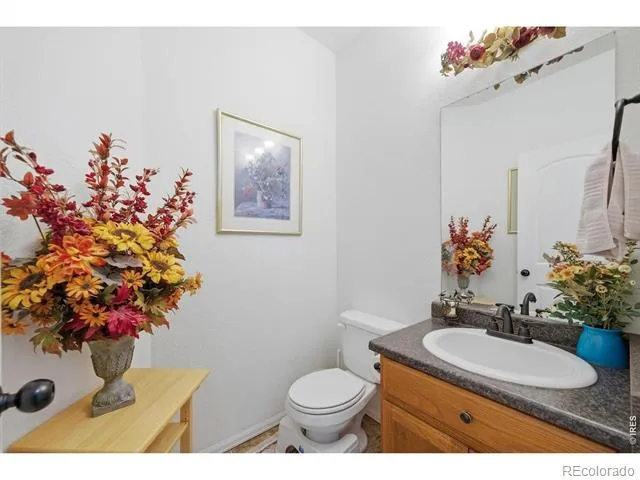 7506 Back Stretch Drive Wellington, CO 80549