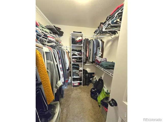 7506 Back Stretch Drive Wellington, CO 80549