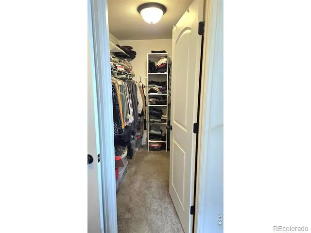 7506 Back Stretch Drive Wellington, CO 80549