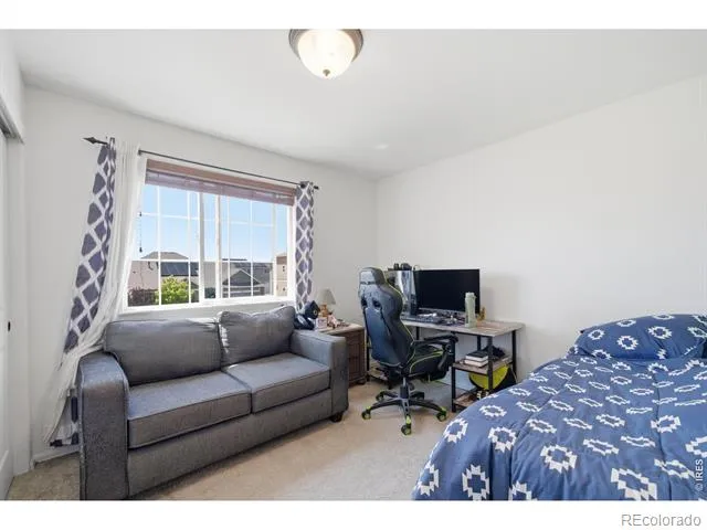 7506 Back Stretch Drive Wellington, CO 80549