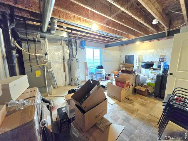 7506 Back Stretch Drive Wellington, CO 80549