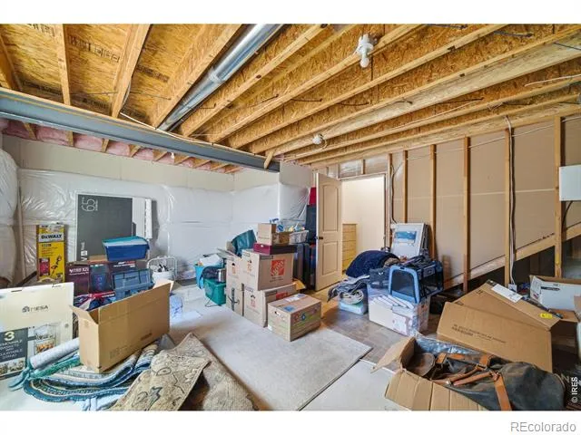 7506 Back Stretch Drive Wellington, CO 80549