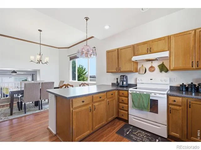 7506 Back Stretch Drive Wellington, CO 80549