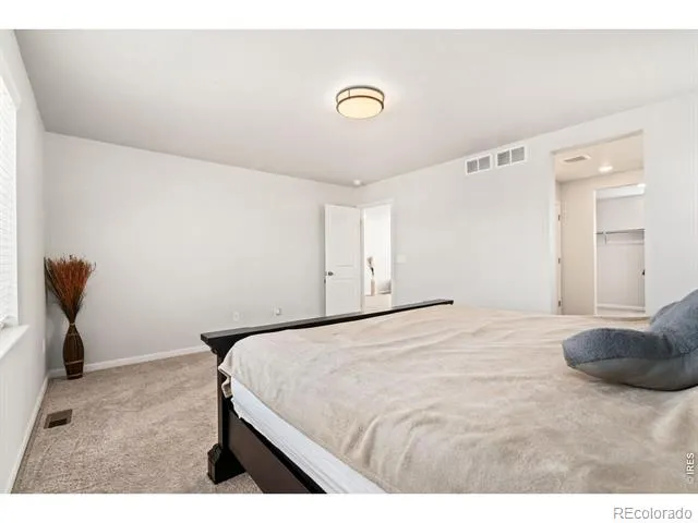 4419 Caramel Street Timnath, CO 80547