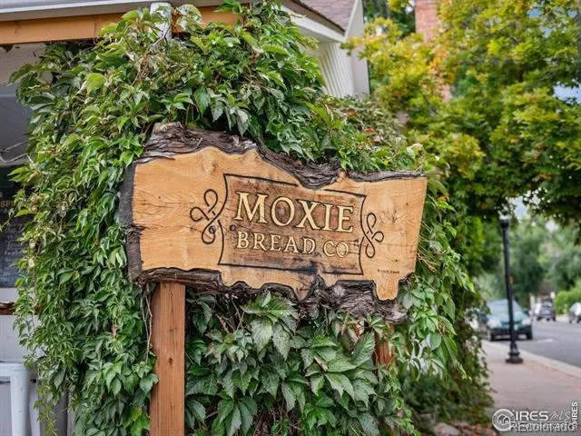 1814 Steel Street Louisville, CO 80027