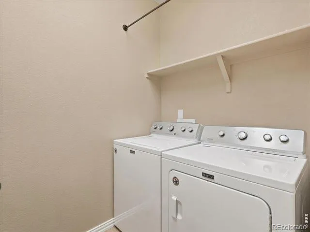 5843 Calgary Street Timnath, CO 80547