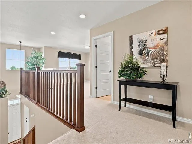 5843 Calgary Street Timnath, CO 80547