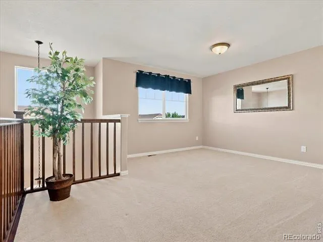 5843 Calgary Street Timnath, CO 80547