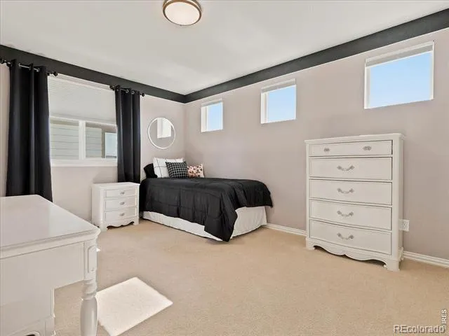 5843 Calgary Street Timnath, CO 80547