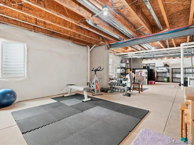 5843 Calgary Street Timnath, CO 80547