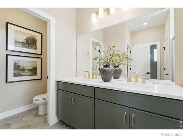 996 Nettle Lane Fort Collins, CO 80524