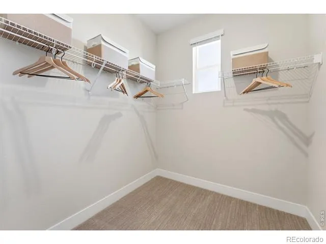 996 Nettle Lane Fort Collins, CO 80524