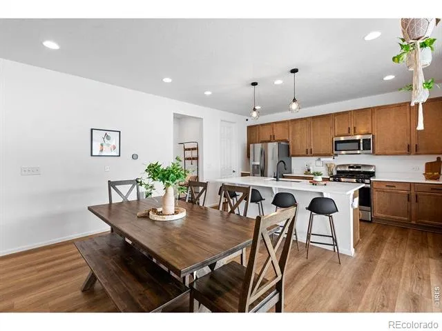 1228 Argali Drive Severance, CO 80550