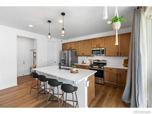 1228 Argali Drive Severance, CO 80550
