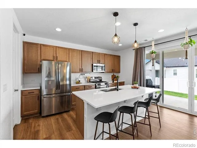 1228 Argali Drive Severance, CO 80550