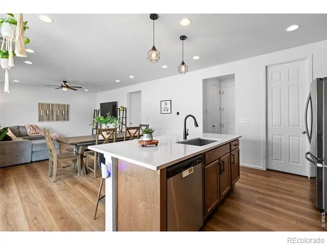 1228 Argali Drive Severance, CO 80550