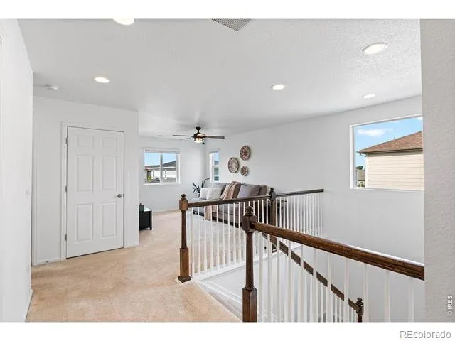 1228 Argali Drive Severance, CO 80550