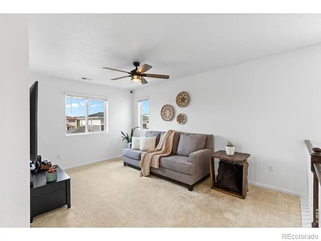1228 Argali Drive Severance, CO 80550