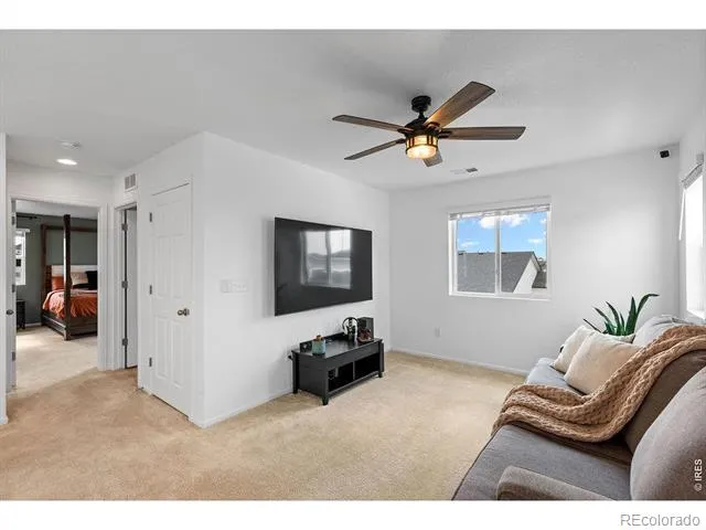 1228 Argali Drive Severance, CO 80550