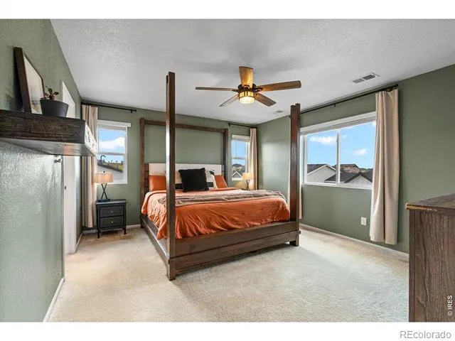 1228 Argali Drive Severance, CO 80550
