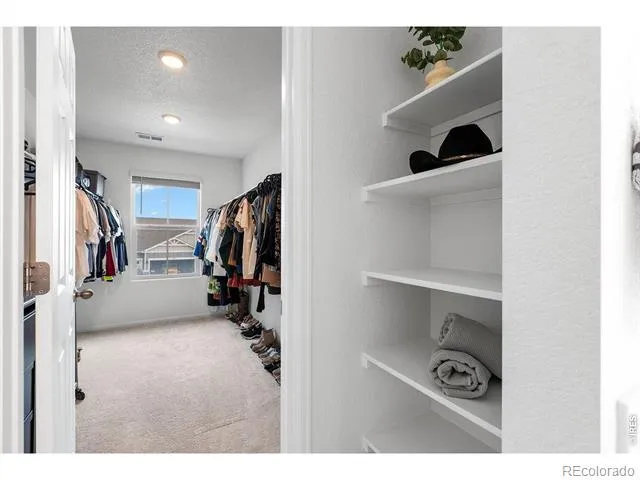 1228 Argali Drive Severance, CO 80550