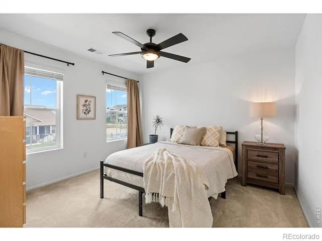 1228 Argali Drive Severance, CO 80550