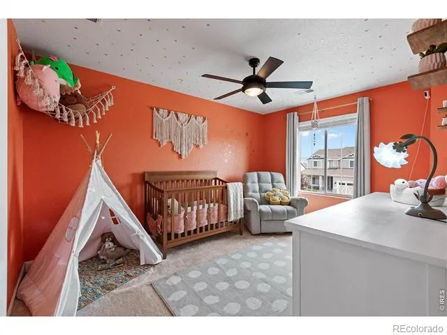 1228 Argali Drive Severance, CO 80550