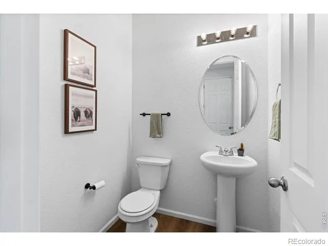 1228 Argali Drive Severance, CO 80550