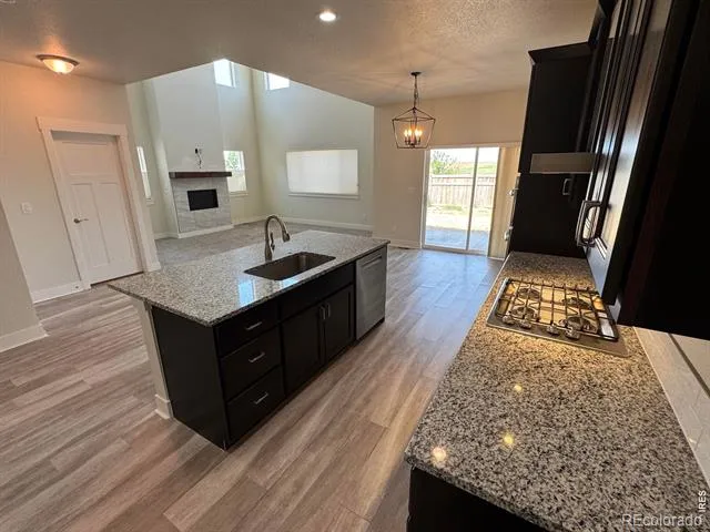 1279 Baker Pass Street Severance, CO 80550
