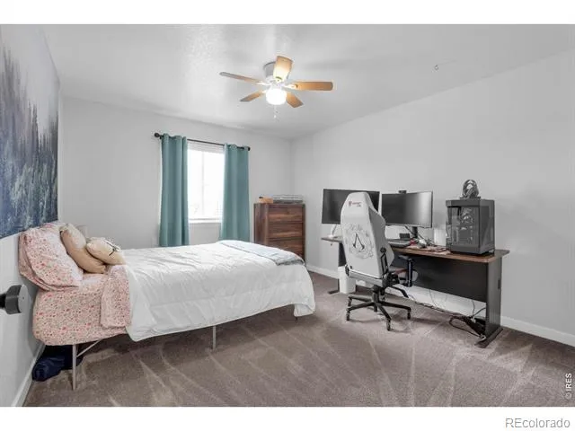 3294 Grizzly Way Wellington, CO 80549