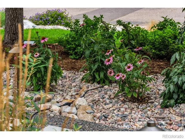 3294 Grizzly Way Wellington, CO 80549