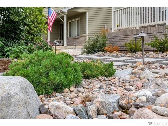 3294 Grizzly Way Wellington, CO 80549