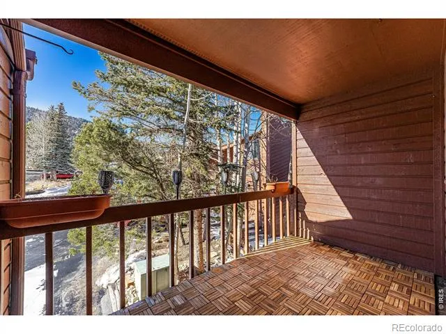 1050 S Saint Vrain Avenue #4 Estes Park, CO 80517