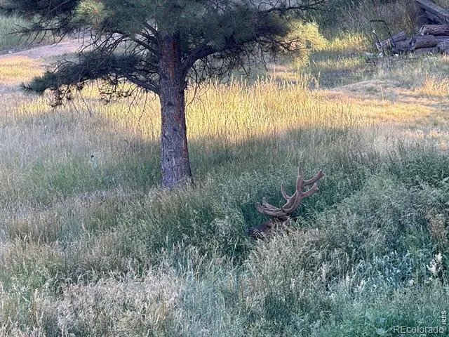 417 Dunraven Glade Road Glen Haven, CO 80532