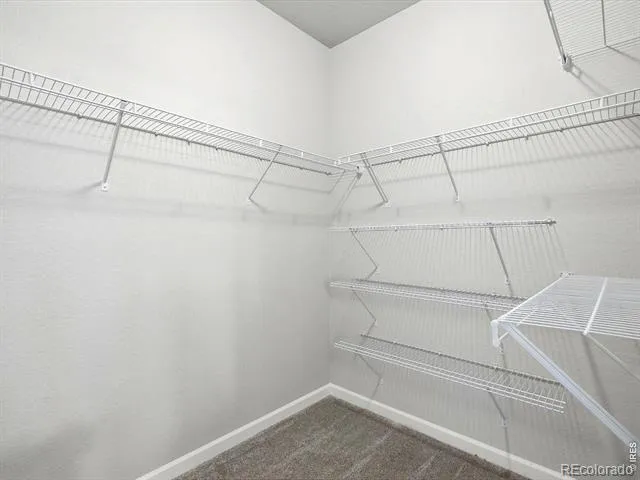 683 Stonebridge Drive Longmont, CO 80503