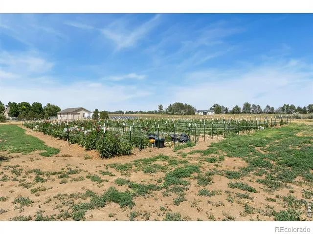 444 E County Road 68 Fort Collins, CO 80524