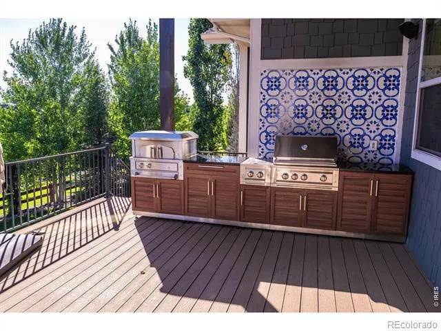 3969 Cashen Lane Timnath, CO 80547