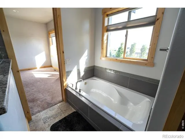 3969 Cashen Lane Timnath, CO 80547