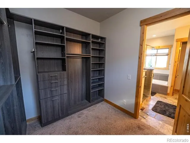 3969 Cashen Lane Timnath, CO 80547