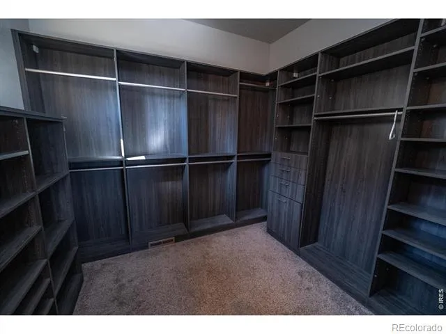 3969 Cashen Lane Timnath, CO 80547
