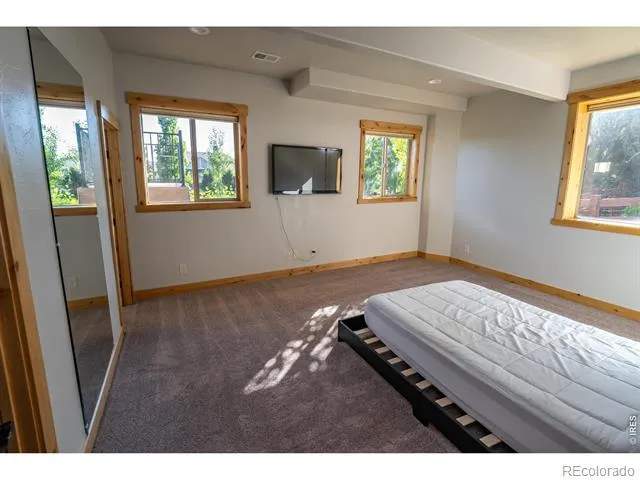 3969 Cashen Lane Timnath, CO 80547