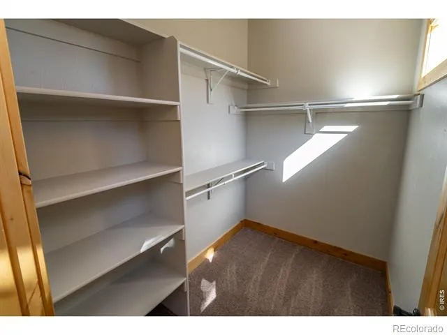 3969 Cashen Lane Timnath, CO 80547