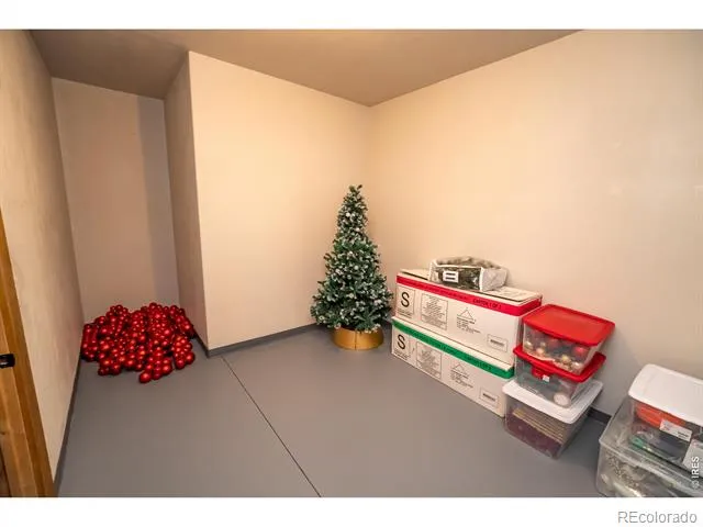 3969 Cashen Lane Timnath, CO 80547