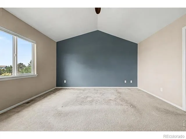 3451 Yule Trail Drive Fort Collins, CO 80524