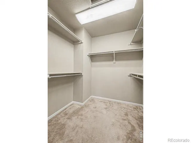 3451 Yule Trail Drive Fort Collins, CO 80524