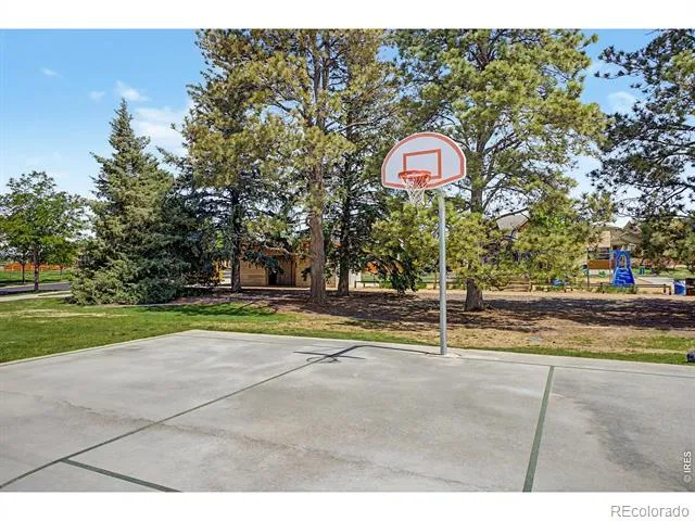 3451 Yule Trail Drive Fort Collins, CO 80524