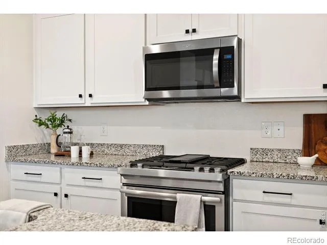 6512 Coralbell Street Wellington, CO 80549