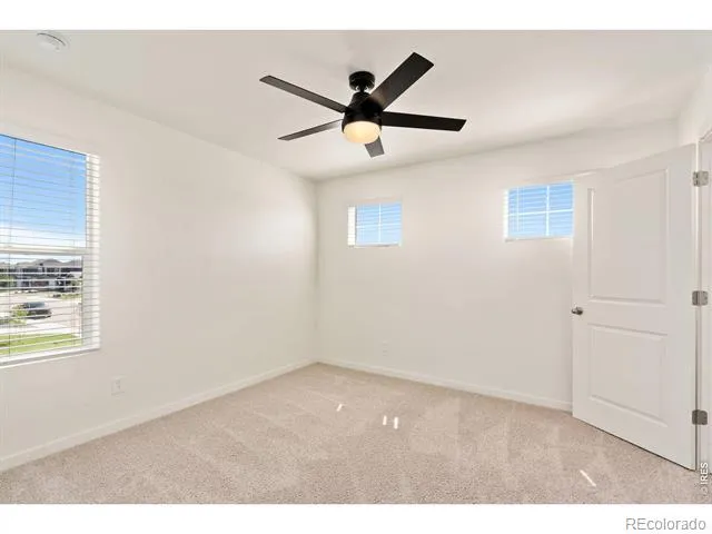6512 Coralbell Street Wellington, CO 80549